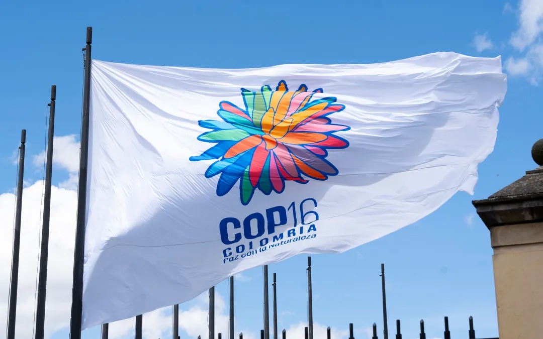 Indígenas Amazónicos demandaron financiación directa en la COP16 para proteger sus territorios
