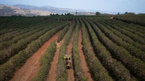 Agricultura de Precisión: La Revolución Tecnológica que Impulsa el Agro Colombiano en 2025