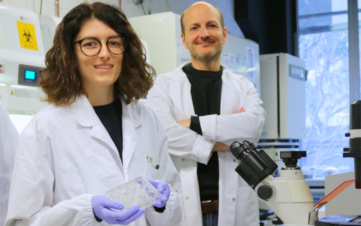 Nuevo dispositivo que replica tumores para estudiar la inmunoterapia