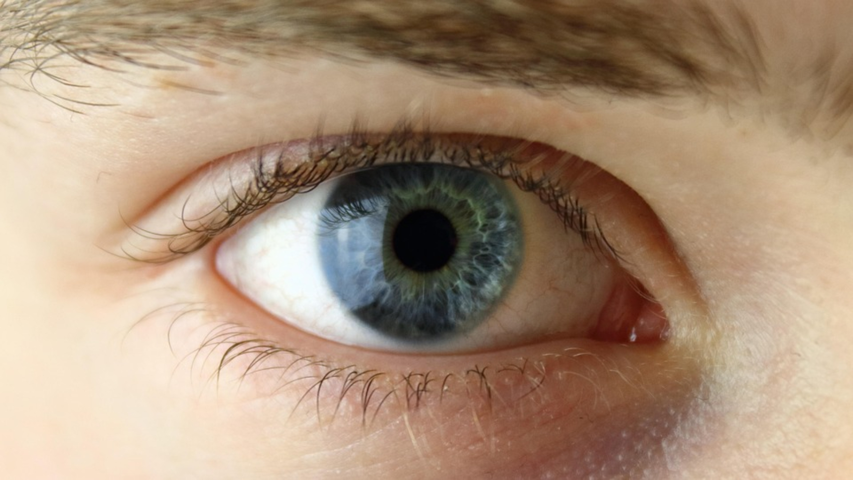 ¡Increíble pero cierto! La ciencia descubre un nuevo color imposible de ver con los ojos comunes: se llama “olo”