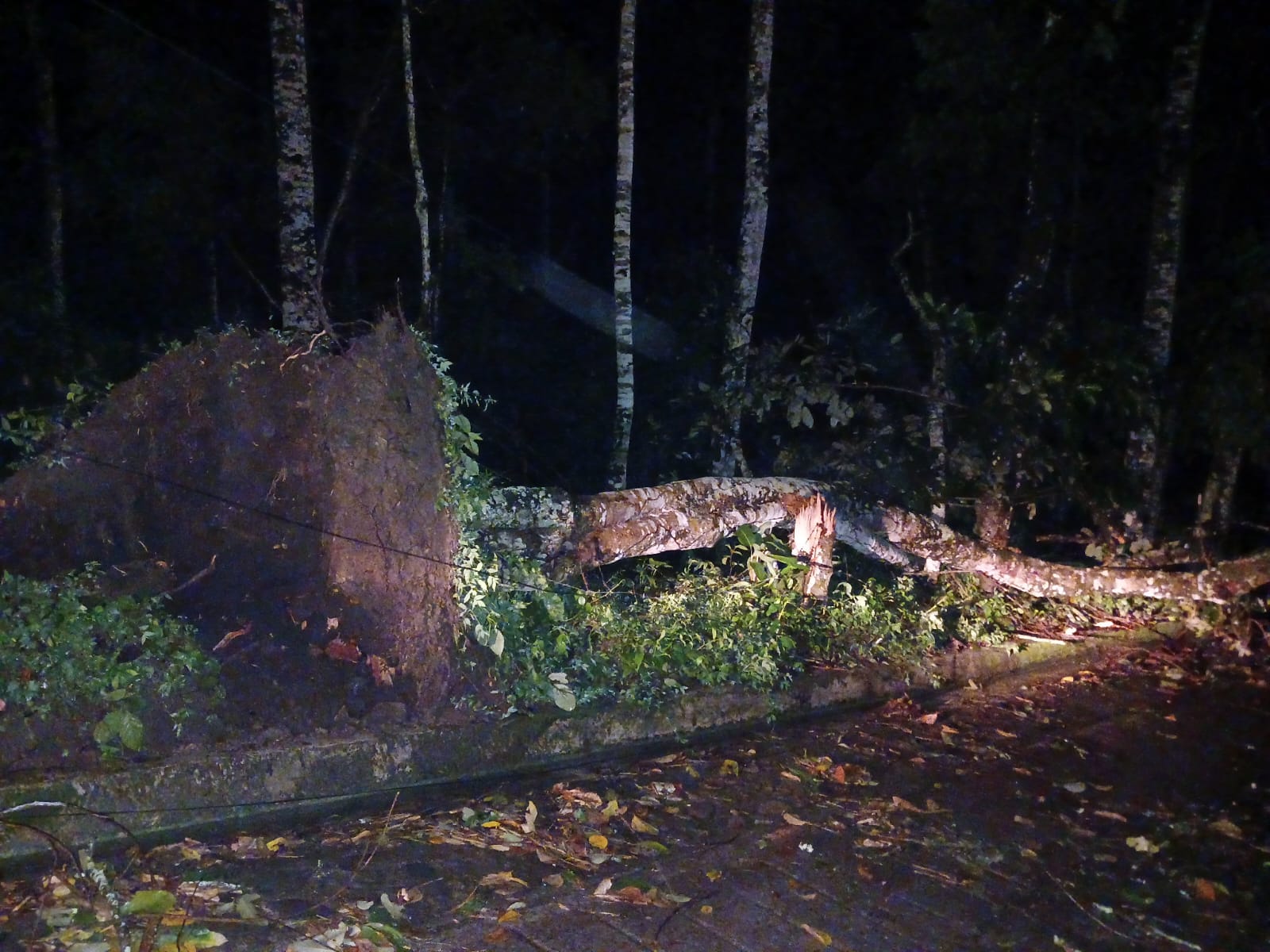 Lluvias sin tregua: 29 municipios del Tolima en alerta roja por riesgo de deslizamientos