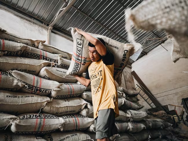 ¿Qué tienen en común las montañas de Ibagué y las tazas de café en China? Un grano tolimense conquista Asia