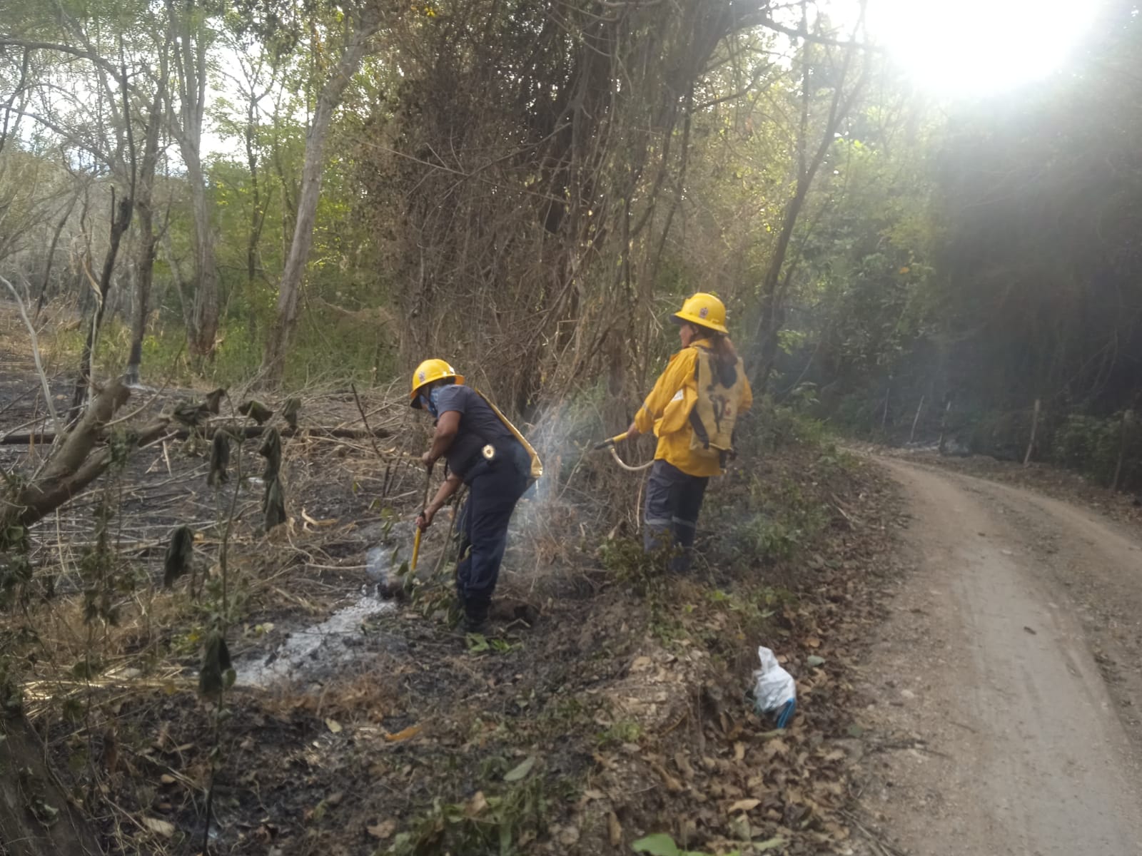 Ocho municipios del Tolima afectados por incendios forestales y temperaturas extremas