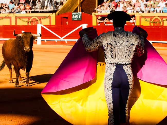 Colombia dice adiós a las corridas de Toros, corralejas y peleas de gallos: así lo ordenó la Corte Constitucional