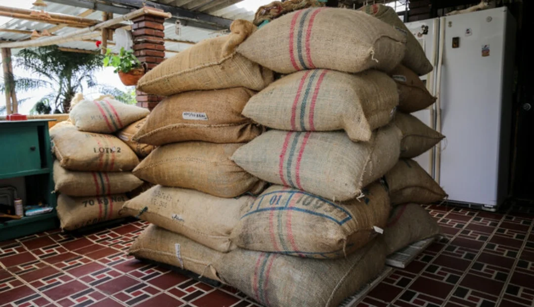 Trump da un giro inesperado: elimina aranceles a productos clave para frenar la inflación en EE. UU.