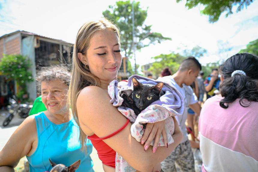 Ibagué acelera su cruzada por el bienestar animal: CAPA espera cerrar 2025 con más de 1.700 esterilizaciones gratuitas
