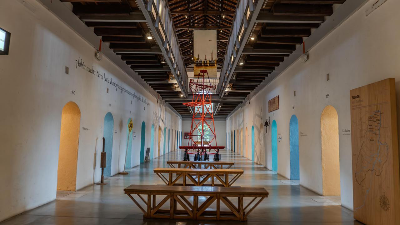 Del bosque al sonido: el Museo Panóptico de Ibagué abre exposición gratuita sobre instrumentos hechos con plantas